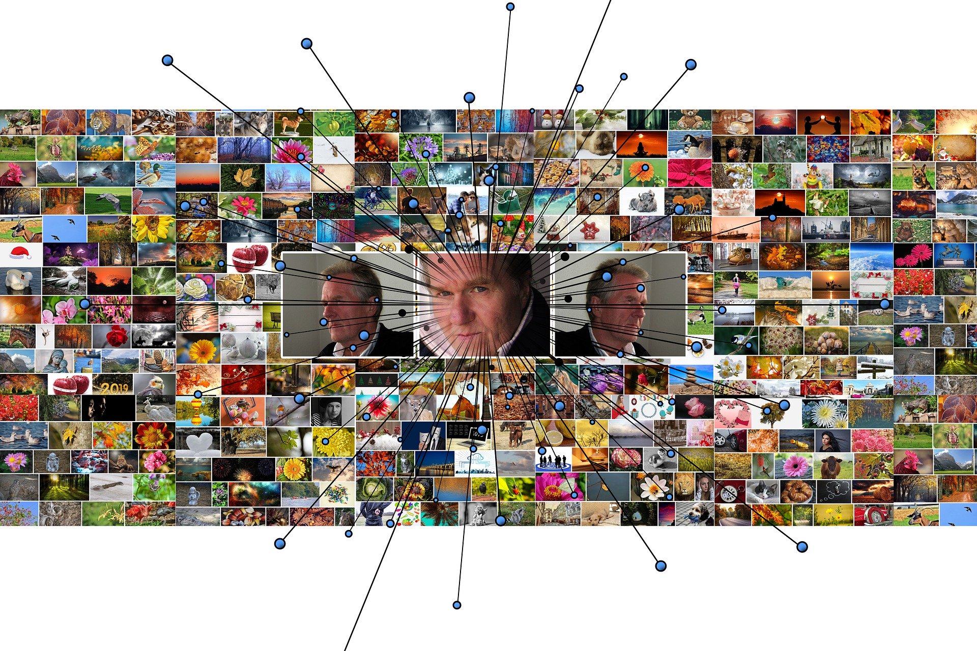 Schenkeveld Advocaten - algorithm