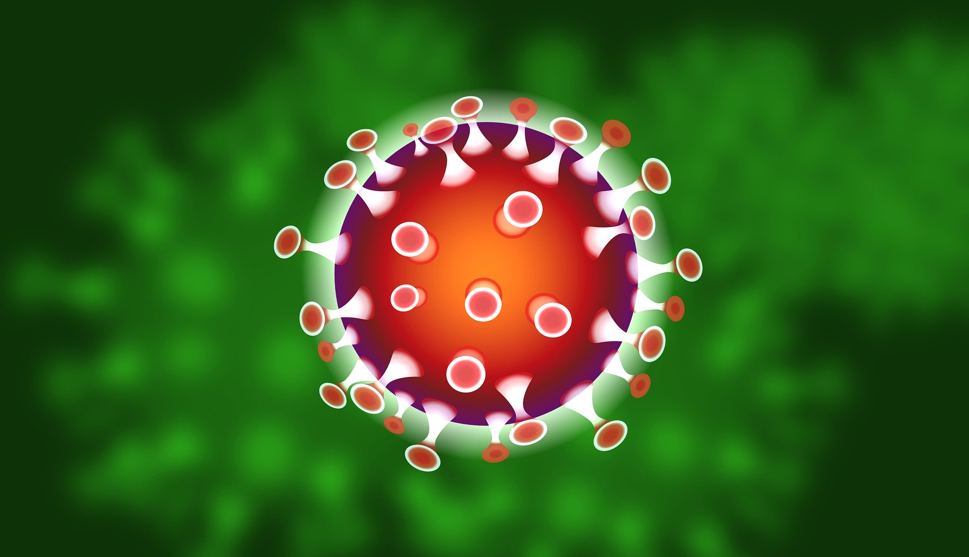 Schenkeveld Advocaten - corona-virus