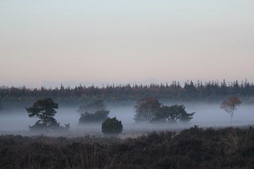 Schenkeveld Advocaten - Stikstof