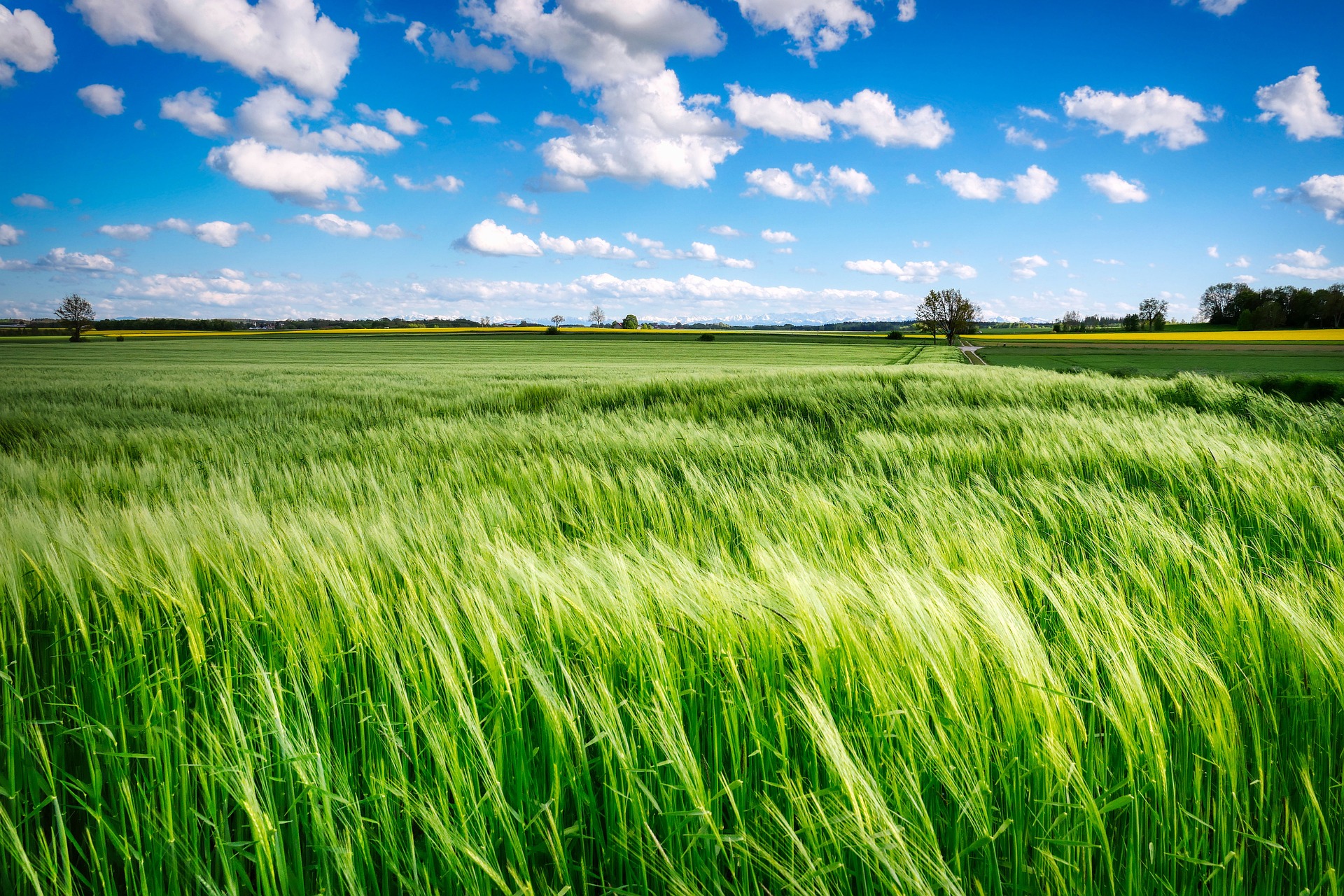 Schenkeveld Advocaten - akkerbouw