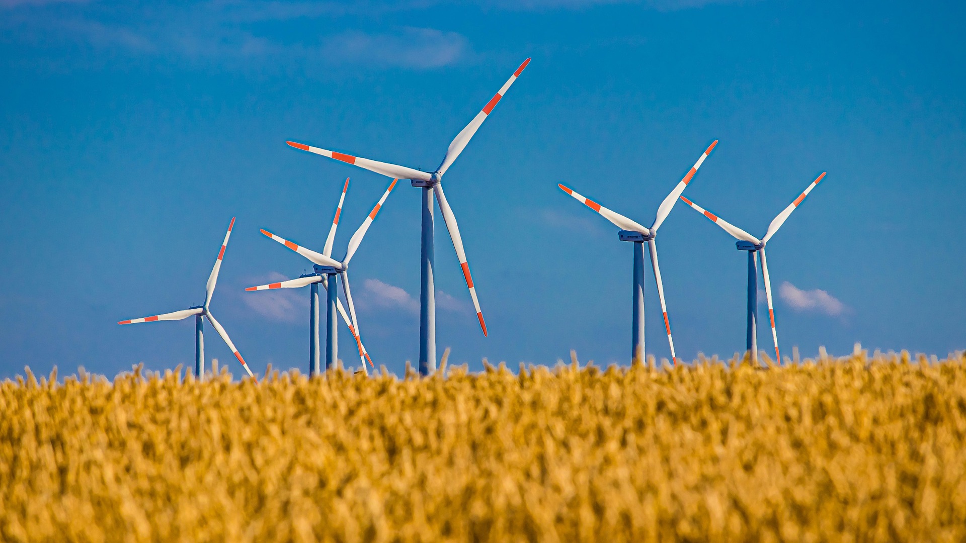 Schenkeveld Advocaten - windturbines